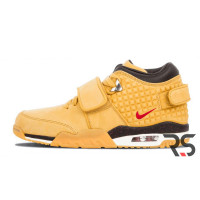 Осенние кроссовки Nike Air Trainer Victor Cruz «Haystack»