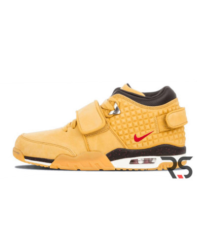 Осенние кроссовки Nike Air Trainer Victor Cruz «Haystack»