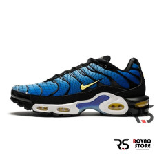 Кроссовки Nike Air Max Tn Plus «Greedy»