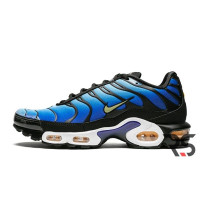 Кроссовки Nike Air Max Tn Plus «Hyper Blue»