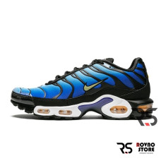 Кроссовки Nike Air Max Tn Plus «Hyper Blue»