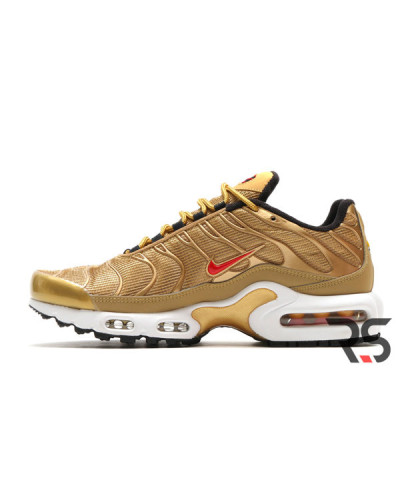 Мужские кроссовки Nike Air Max Tn Plus «Metallic Gold»