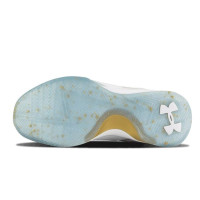 Мужские кроссовки Under Armour Curry 1 low MVP «White gold»