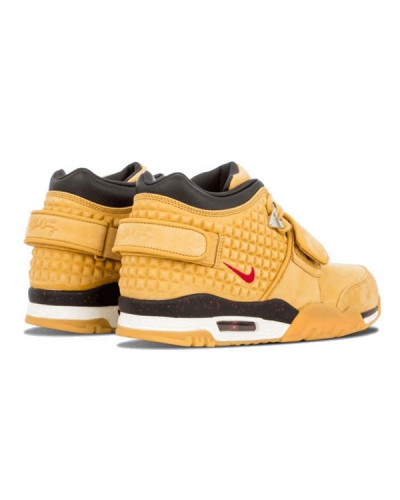 Мужские кроссовки Nike Air Trainer Victor Cruz “Haystack”