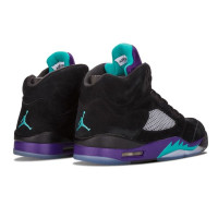 Осенние кроссовки Air Jordan 5 Retro «Black Grape»